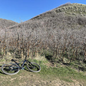 2021 Trek X Caliber 7 Blue