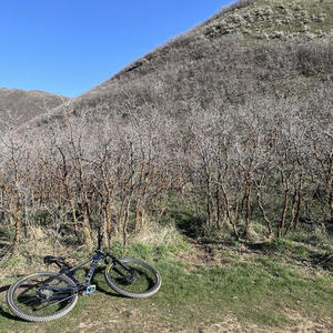 2021 Trek X Caliber 7 Blue