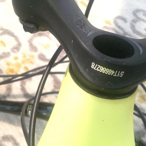 2015 Giant Reign Advanced Green and Yellow or Gold