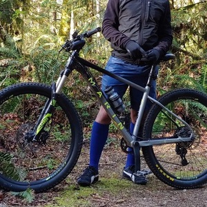 2019 Marin Bikes Nail Trail 6 Silver, gray or bare metal