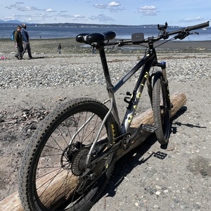 2019 Marin Bikes Nail Trail 6 Silver, gray or bare metal