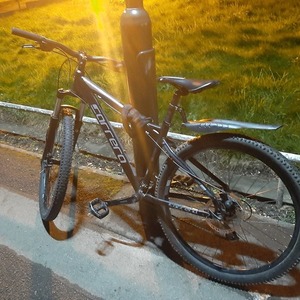 2018 Carrera bicycles Black