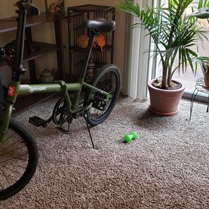 2020 Retrospec JUDD Green