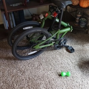 2020 Retrospec JUDD Green