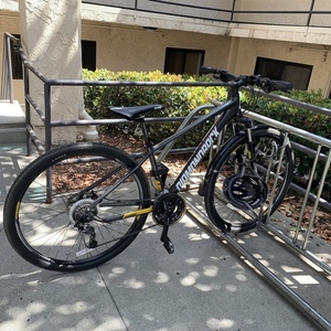 2016 Diamondback Trace Comp Silver, gray or bare metal