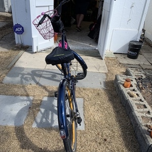 2022 Electra Step Over Blue