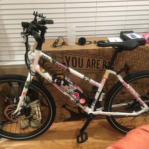 Rad Power Bikes Radmission 1 White and Stickers tape or other cover-up