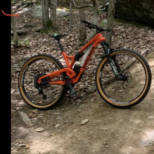 2019 Evil Following Orange