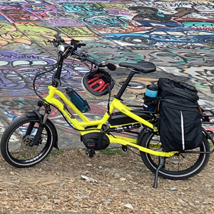 2021 Tern HSD Performance P9 Yellow or Gold and Silver, gray or bare metal