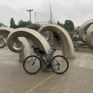 2021 Cannondale Topstone 1 Silver, gray or bare metal