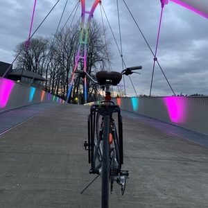 Trek 7.5 FX Disc Black