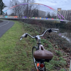 Trek 7.5 FX Disc Black