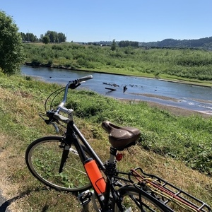 Trek 7.5 FX Disc Black