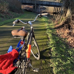 Trek 7.5 FX Disc Black