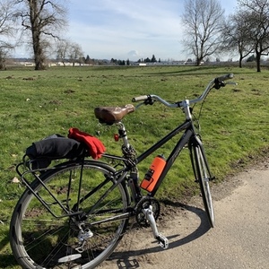 Trek 7.5 FX Disc Black