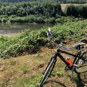 Trek 7.5 FX Disc Black