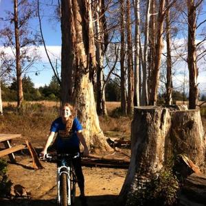 2015 Specialized Jett Blue