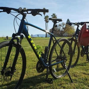 2021 Trek Duel Sport 2 Blue