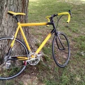 2022 Raleigh Raliegh Yellow or Gold and Black