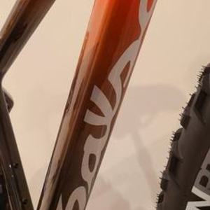 2022 Salsa Beargrease Orange and Brown