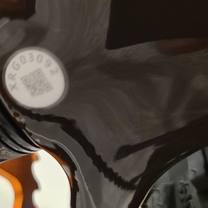 2022 Salsa Beargrease Orange and Brown