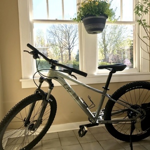 2021 Giant Small Green