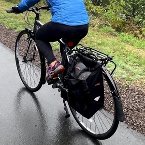 Diamondback Insight Blue