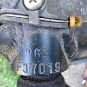 Specialized Black