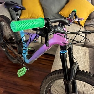 2019 Specialized Stumpjumper MIXTAPE edition Purple and Blue