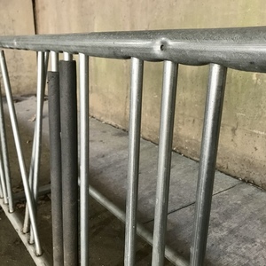 2021 Giant Small Green