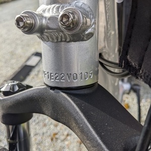 2022 Rad Power Bikes Radrunner Plus Silver, gray or bare metal