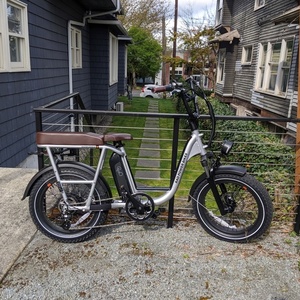 2022 Rad Power Bikes Radrunner Plus Silver, gray or bare metal