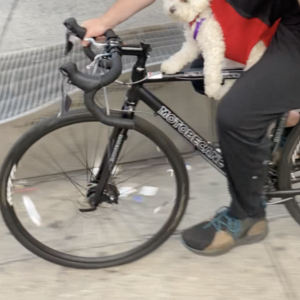 2021 Motobecane Fantom Cross Trail W 700 Black