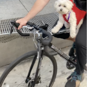 2021 Motobecane Fantom Cross Trail W 700 Black