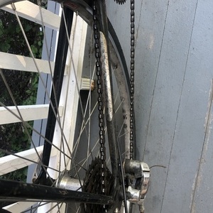 Schwinn world sport Black