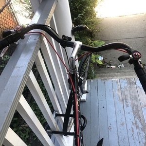 Schwinn world sport Black