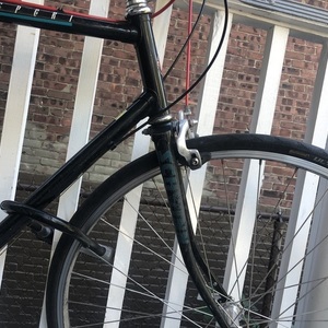 Schwinn world sport Black