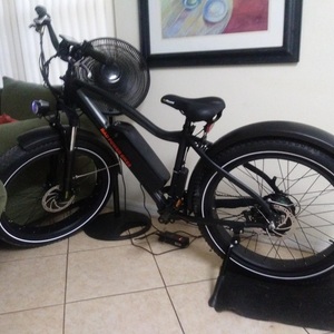 2018 Rad Power Bikes Rad power fat tire tall bike Black and Silver, gray or bare metal