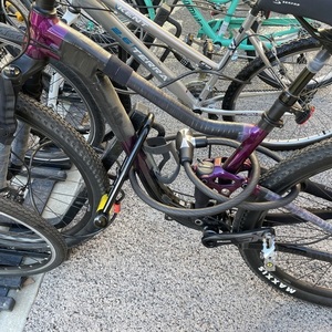 2020 Giant Purple