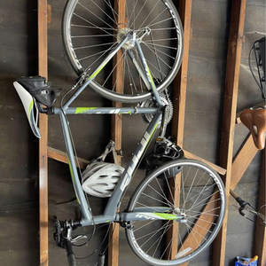 2012 Fuji Newest 3.0 Silver, gray or bare metal and Green