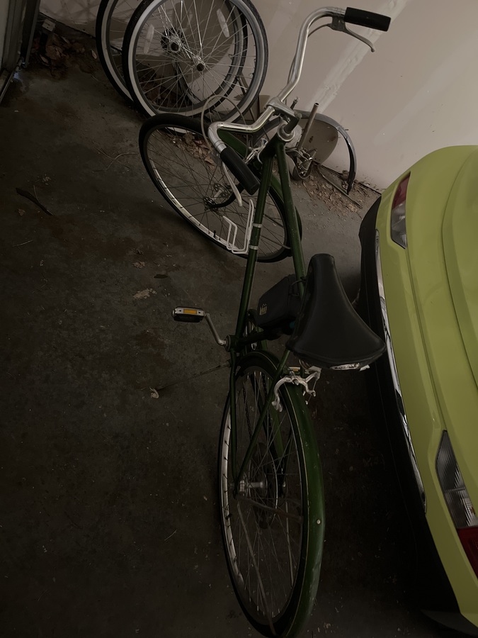 schwinn suburban vintage green