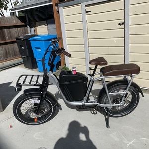 Rad Power Bikes RadRunner Plus Silver, gray or bare metal