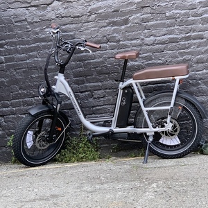 Rad Power Bikes RadRunner Plus Silver, gray or bare metal