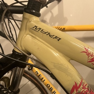 Specialized Myka FSR Brown