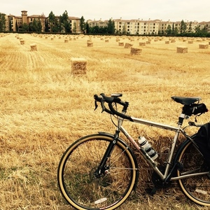 2012 Salsa Vaya Silver or Gray