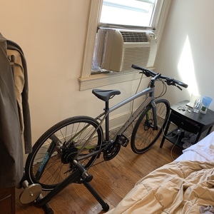 2020 Specialized Sirrus Silver, gray or bare metal