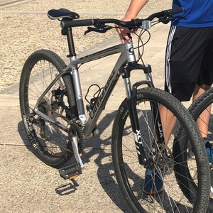2014 Cannondale Trail 29 6 Silver, gray or bare metal