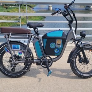 2022 Rad Power Bikes Rad Runner Plus Stickers tape or other cover-up