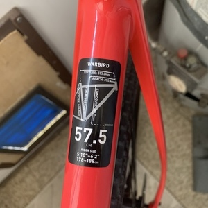 2019 Salsa Warbird Pink