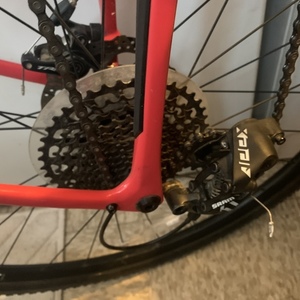 2019 Salsa Warbird Pink